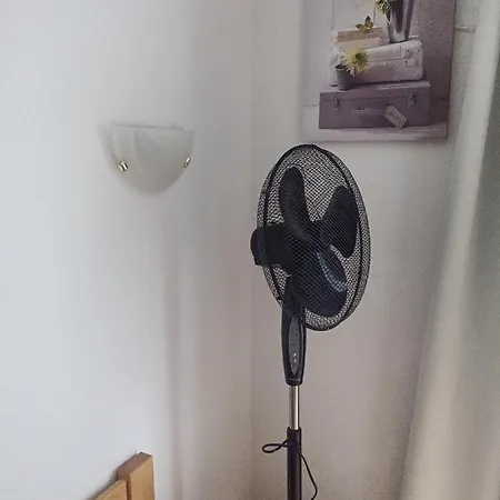 Le Roi Du Sundgau Pres De La Horse -