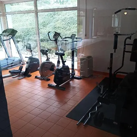 Hotel apartamentowy Le Roi Du Sundgau Pres De La Horse - 3*