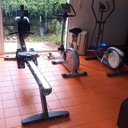 Le Roi Du Sundgau Pres De La Horse - Mooslargue