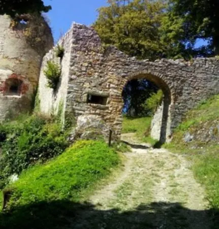 Hotel apartamentowy Le Roi Du Sundgau Pres De La Horse - Mooslargue