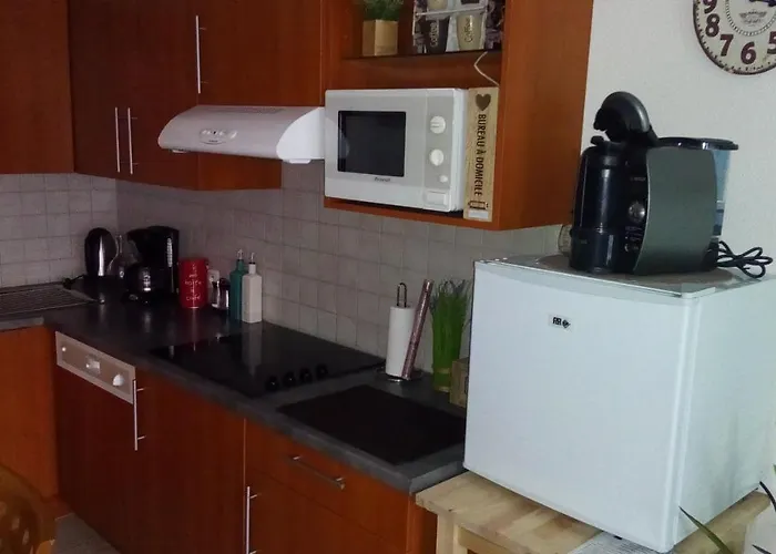 Le Roi Du Sundgau Pres De La Horse -