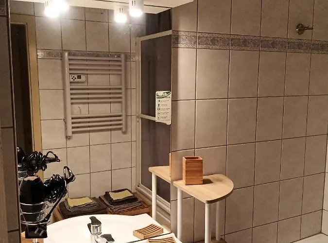 Aparthotel Le Roi Du Sundgau Pres De La Horse - 3*