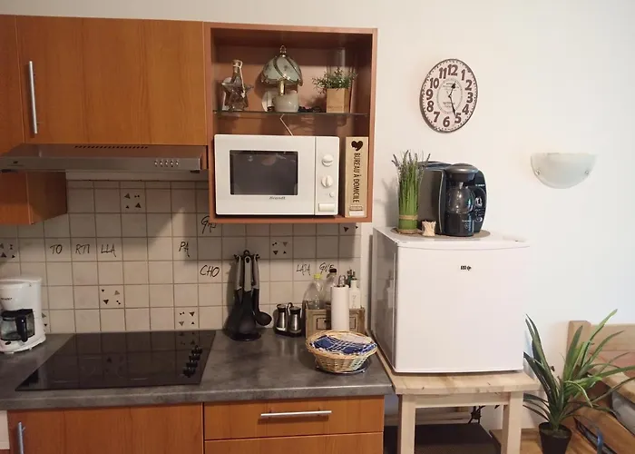 Aparthotel Le Roi Du Sundgau Pres De La Horse -