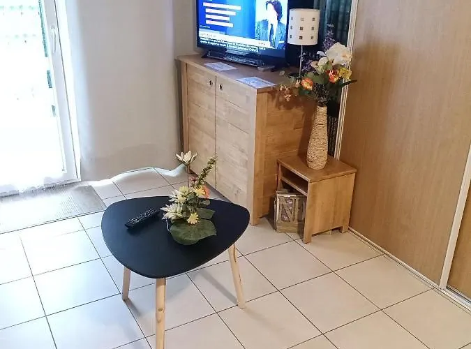 Aparthotel Le Roi Du Sundgau Pres De La Horse - Mooslargue