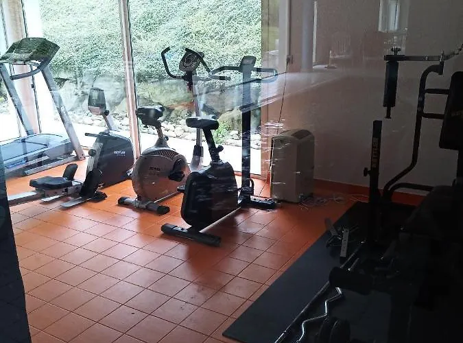 Aparthotel Le Roi Du Sundgau Pres De La Horse - 3*