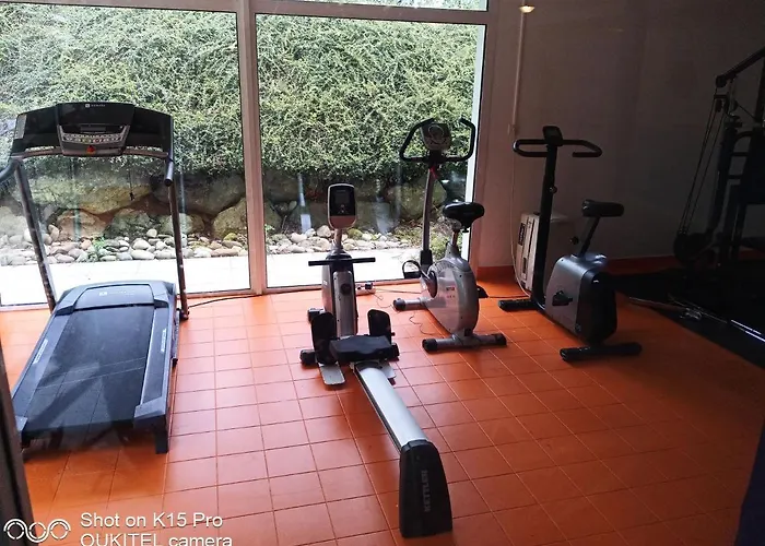 Le Roi Du Sundgau Pres De La Horse -