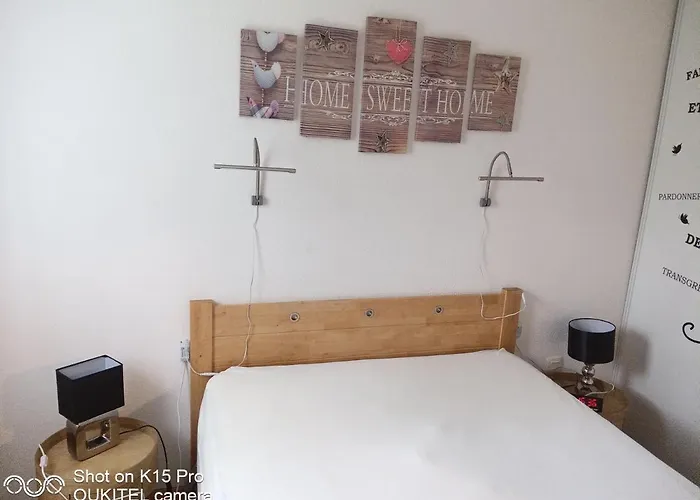 Aparthotel Le Roi Du Sundgau Pres De La Horse - 3*