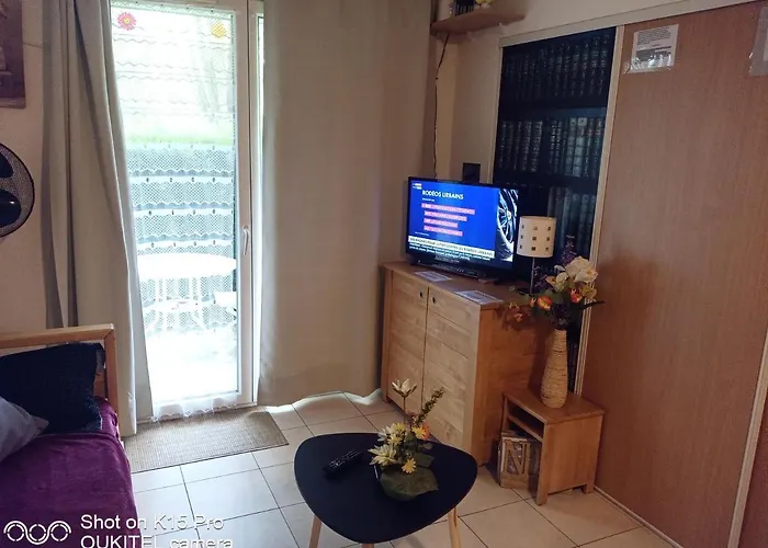 Le Roi Du Sundgau Pres De La Horse - 3*