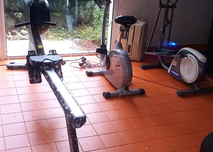 Le Roi Du Sundgau Pres De La Horse - Mooslargue