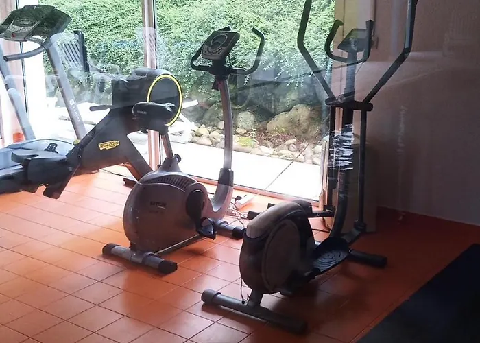 Le Roi Du Sundgau Pres De La Horse - Aparthotel