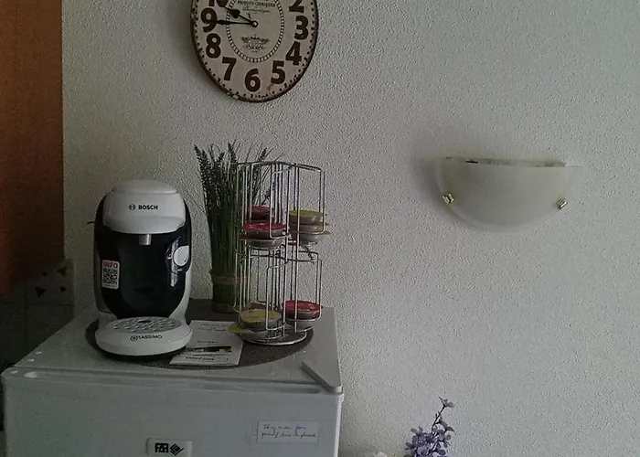 Aparthotel Le Roi Du Sundgau Pres De La Horse -