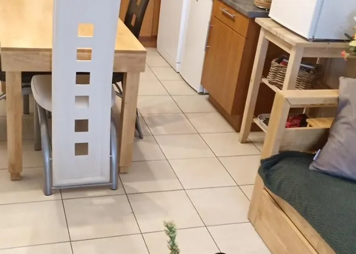 Le Roi Du Sundgau Pres De La Horse -