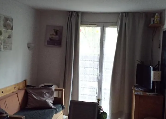 Aparthotel Le Roi Du Sundgau Pres De La Horse -