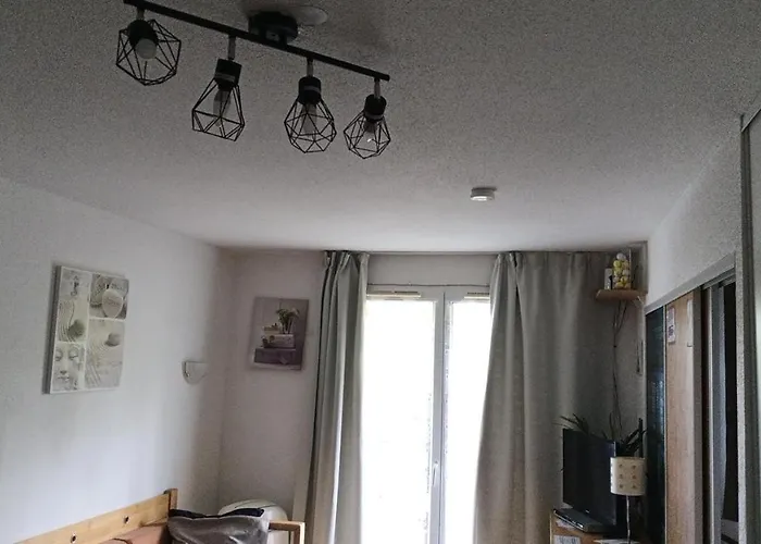 Aparthotel Le Roi Du Sundgau Pres De La Horse - Mooslargue