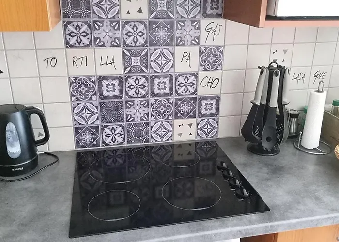 Aparthotel Le Roi Du Sundgau Pres De La Horse - Mooslargue