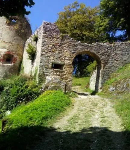 Aparthotel Le Roi Du Sundgau Pres De La Horse - Mooslargue