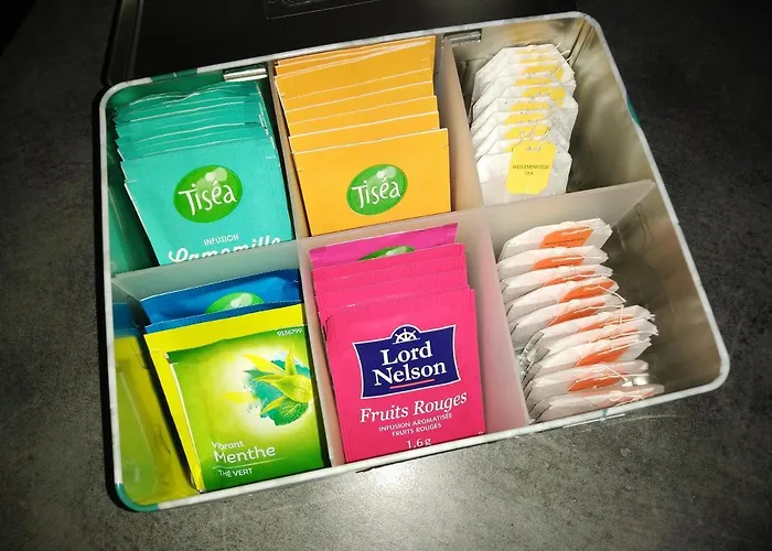 Aparthotel Le Roi Du Sundgau Pres De La Horse - Mooslargue